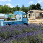 Lavande Guided Tour And Live Distillation - The Lavender Little Train: Scenic Ride Through Lavender Fields