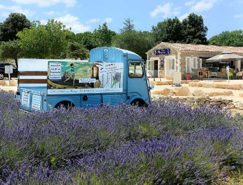 Lavande Guided Tour And Live Distillation - The Lavender Little Train: Scenic Ride Through Lavender Fields