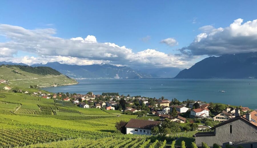 Lavaux: Vineyard Experience - Departure from Lausanne-Ouchy and the Scenic Cruise on Geneva Lake