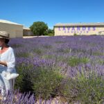 Lavender Discovery Private Tour in Provence - Scenic Drive to the Valensole Plateau