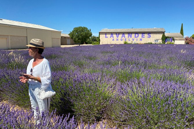 Lavender Discovery Private Tour in Provence - Scenic Drive to the Valensole Plateau