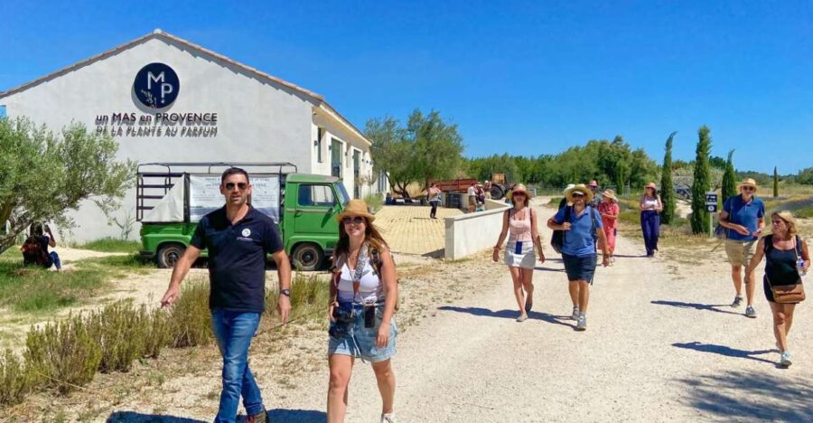 Lavender Field & Distillery Tour between Nimes & Arles - Explore the Perfume Bar and Natural Product Shop
