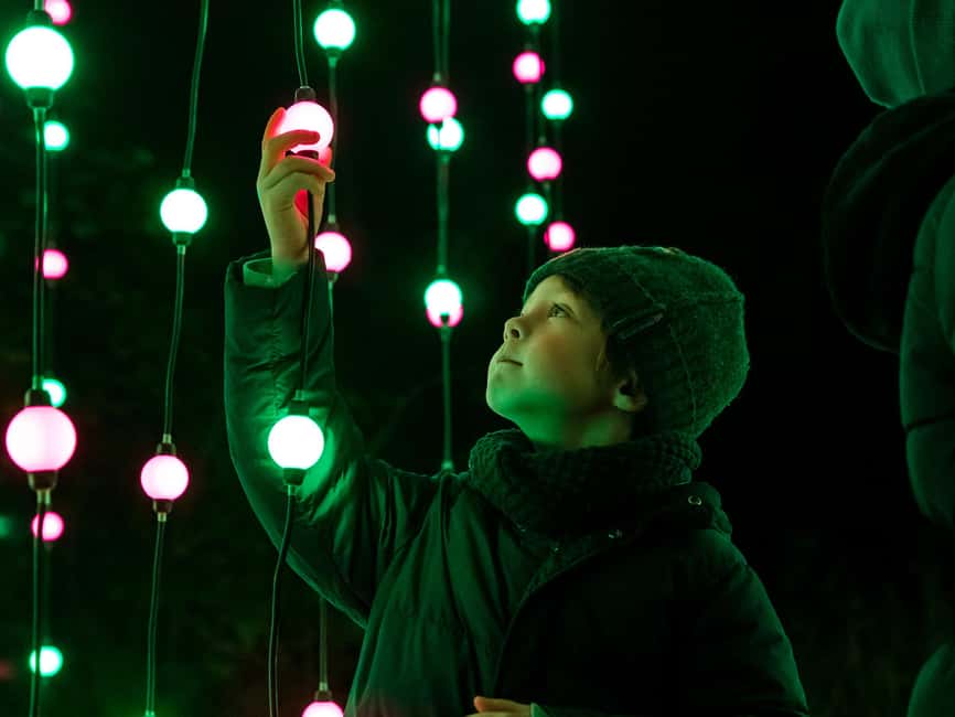 Laxenburg Palace Gardens: ILLUMINA Austria's biggest light garden - ticket - The Magic of Light Art by International Artists