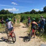 Lazise: Bike Tour and Wine Tasting - Exploring Lazise’s Countryside on E-bikes