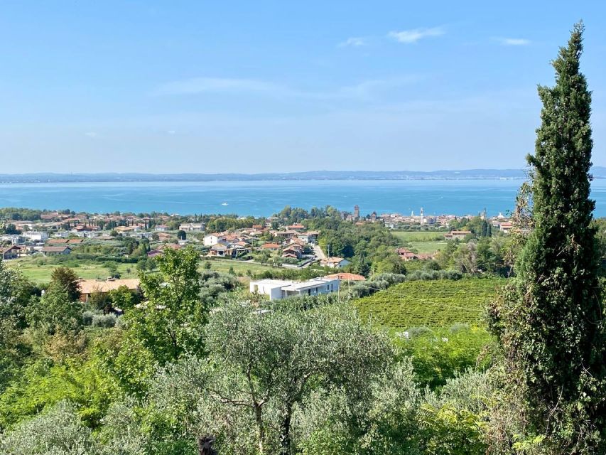 Lazise: Countryside e-Bike Tour with Wine Tasting - Savor Regional Wines at a Small Family Farm