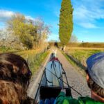 Lazise: horse carriage tour with tasting of local products - Tasting Local Products: Honey, Cheeses, and Seasonal Delights