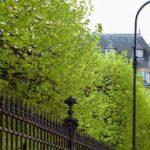 Le Marais Private Walking Tour - Starting Point Near Les Halles, the Heart of Old Paris