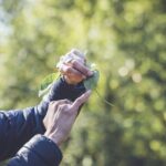 Learn to forage in Llangollen - Learning the Basics of Safe Foraging