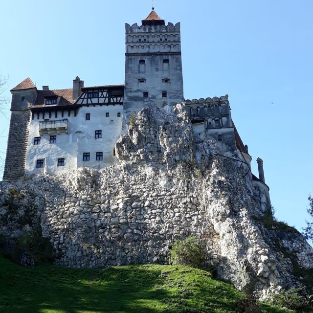 Legends&Wildlife Awaits: Dracula's Castle & Bear Sanctuary - Exploring Europe’s Largest Bear Sanctuary in Zarnesti