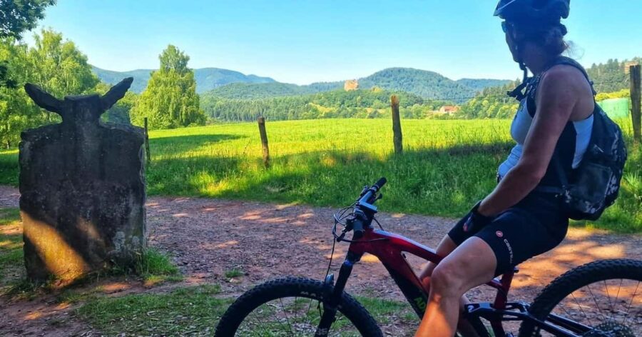 Lembach: Electric mountain bike rental by the day - Exploring the Northern Vosges Regional Nature Park