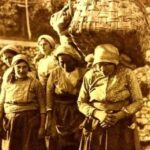 Lemon Experience with Limoncello demonstration - Tramontis Lush Lemon Gardens and Terraced Landscapes