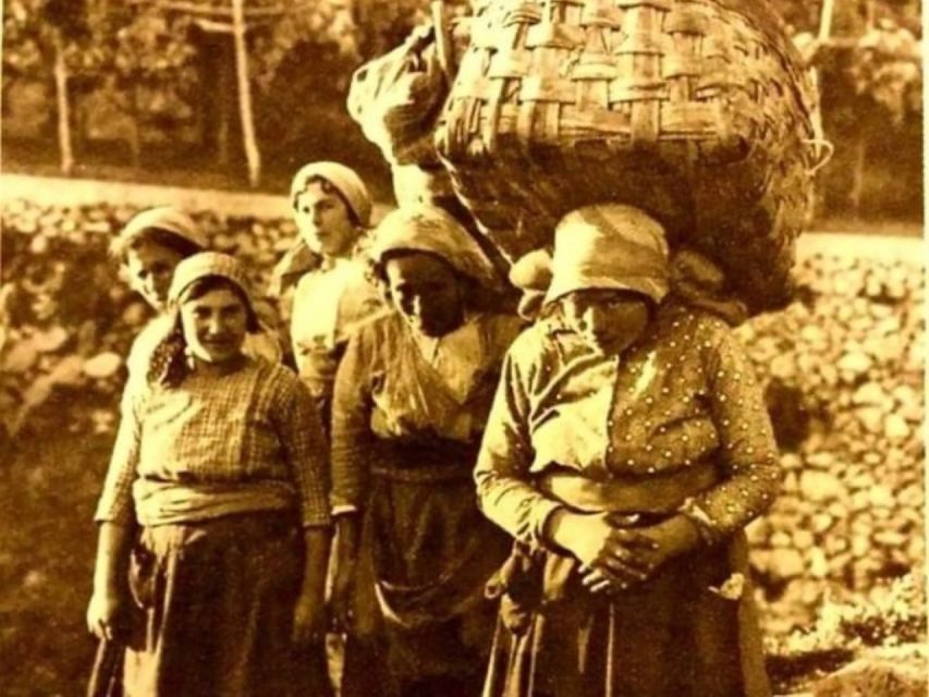 Lemon Experience with Limoncello demonstration - Tramontis Lush Lemon Gardens and Terraced Landscapes