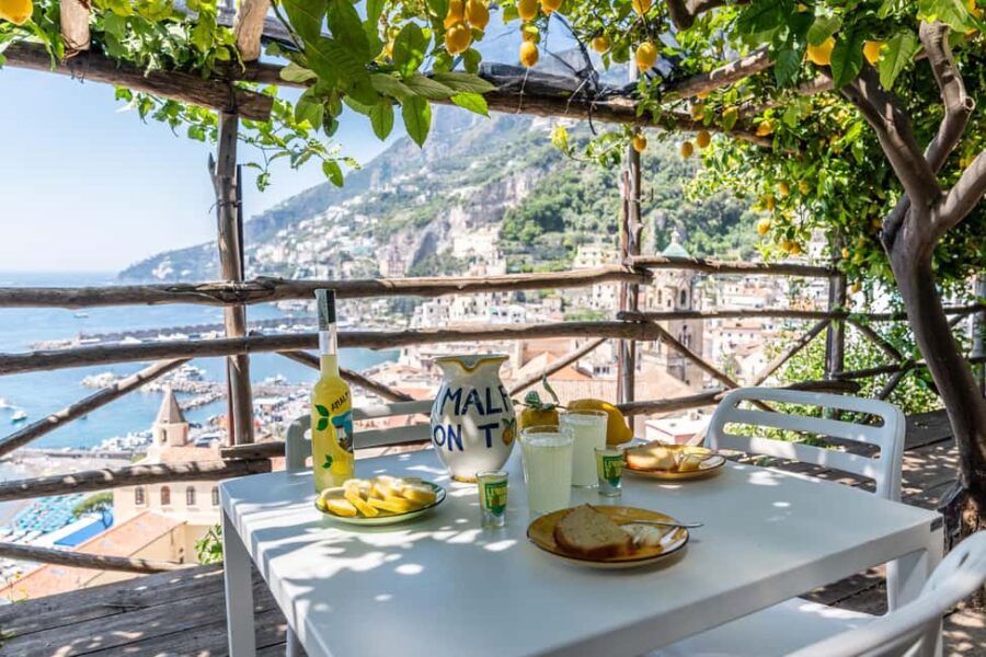 Lemons & Breathtaking Views: Amalfi Monumental Garden Tour - Exploring the Terraced Lemon Grove