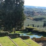 Leonardo da Vinci Voyage with Olive Oil, Food and Wine Dream - Olive Oil Tasting at a Scenic Tuscany Villa