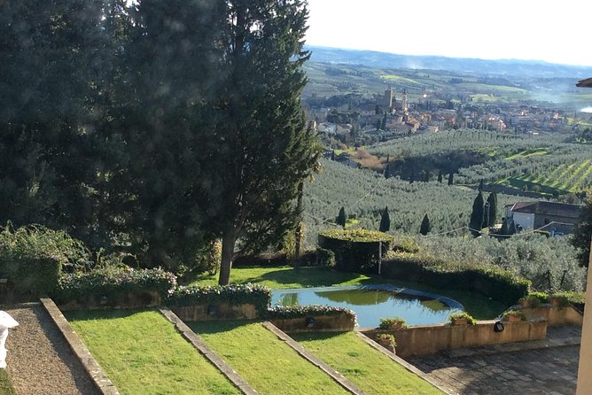 Leonardo da Vinci Voyage with Olive Oil, Food and Wine Dream - Olive Oil Tasting at a Scenic Tuscany Villa
