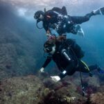 L'Estartit: Dive and Snorkeling in Montgrí Natural Park - Scenic Boat Trip to Montgrí, Medes Islands, and Baix Ter Natural Park