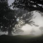 Let-Me-Surprise-You Madeira Full Day Private Tour - Discover Madeira’s Microclimates and Diverse Regions