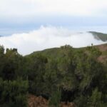 Levada do Alecrim (Madeira Lakes) Full-day walk - Walking Through the Rock Pools and Waterfalls