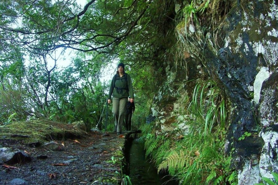 Levada Walk and Caldeirao Verde Waterfalls: Madeira - Exploring Madeira’s Famous Levada Channels