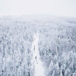 Levi: 15-Kilometres Self-Driving Husky Tour - What the Tour Includes: Practical Details