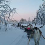Levi: 3km Reindeer Sleigh Ride in the forest at night - Details of the Stops: From Urban to Wilderness