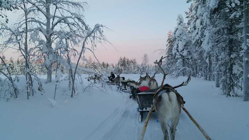 Levi: 3km Reindeer Sleigh Ride in the forest at night - Details of the Stops: From Urban to Wilderness