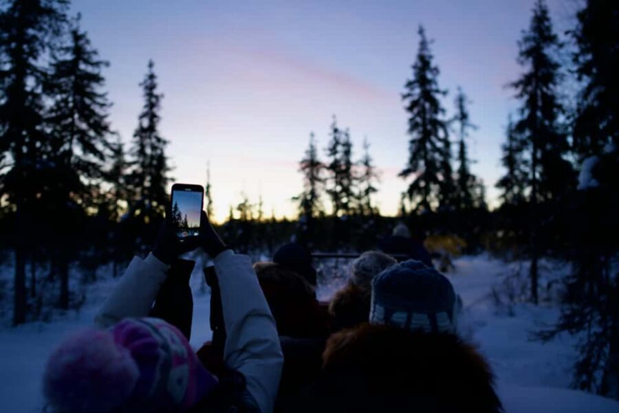 Levi: 5km Self-Driven Husky Sledge Safari - Warming Up in the Cozy Wooden Cabin