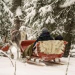 Levi: Authentic Reindeer Sled Ride with Photographer - The 1.5-Kilometer Reindeer Sled Ride