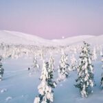 Levi: Explore the Wilderness - Exploring Pallas-Ylläs National Park