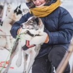 Levi: Guide-driven Husky Safari - The One-Hour Guided Dogsled Journey Through Arctic Wilderness
