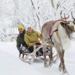 Levi: Lapland Reindeer and Husky Safari - Reindeer Sledge Ride: A Gentle Arctic Journey