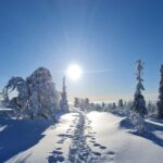 Levi Lapland: Snowshoe Adventure to Fell Kätkä - The Descent: Playful Snowshoeing and Snow Paths