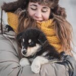 Levi: Nature Walk with Huskies - Exploring Lapland’s Forests on a Husky-Led Trail