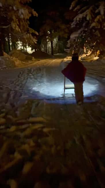 Levi: Northern Lights Kick Sled Tour with Reindeer Visit - Starting Point and Transportation from Levi