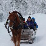 Levi: One Horse Open Sleigh Ride - From the Meeting Point to the Snowy Trail in Levi