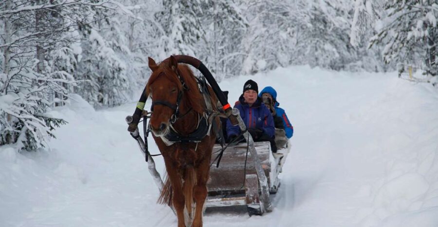 Levi: One Horse Open Sleigh Ride - From the Meeting Point to the Snowy Trail in Levi