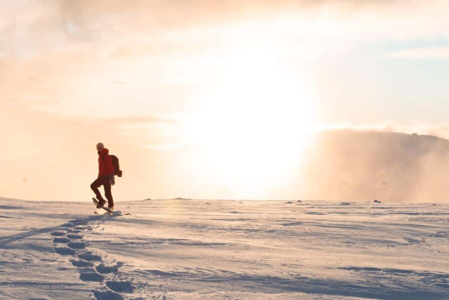 Levi: Panoramic Snowshoeing at the Top of Levi Fell - Exploring the Fairy Tale Forest in Winter