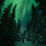 Levi: Private Northern Lights Hunt in the Wilderness - The Tour Starts in Levi’s Wilderness Near the Town