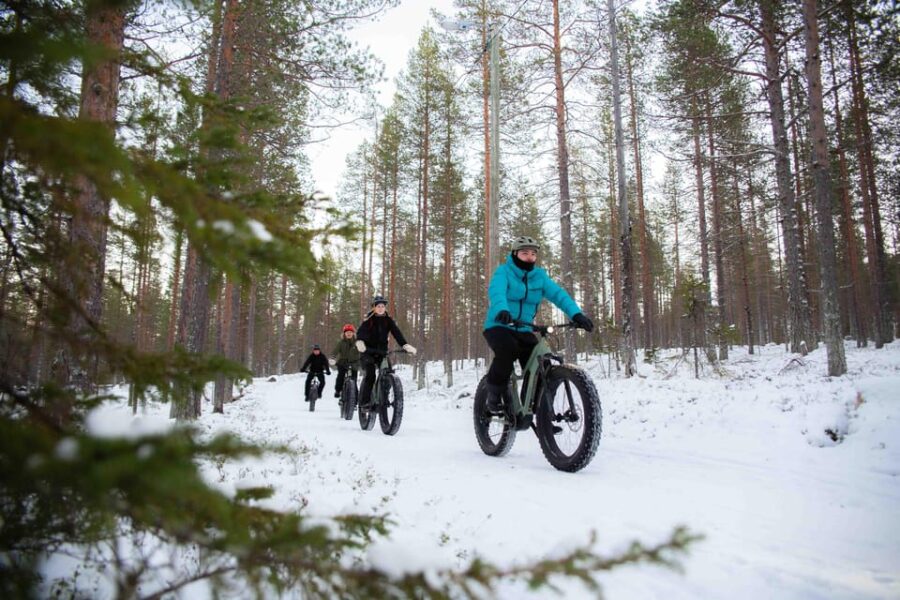 Levi: Reindeer Farm E-Fatbike Safari - Riding E-Fatbikes through Lapland’s Snowy Fells