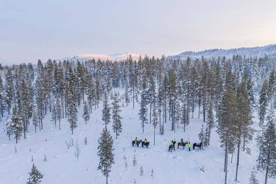 Levi: Riding Trek with Icelandic Horses - Exploring Lapland’s Winter Landscape on Icelandic Horses