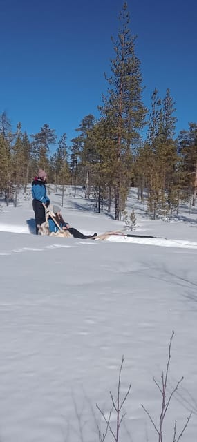 Levi: Self-Drive 5 KM Husky Sledding Experience - Starting Point at Kurjennivantie 118 with Clear Directions