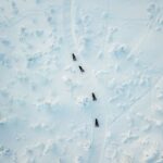 Levi: Snowmobile Safari for Adults - Starting Point at Safartica Office in Levi