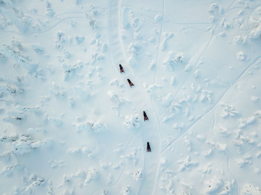 Levi: Snowmobile Safari for Adults - Starting Point at Safartica Office in Levi