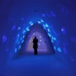 Levi: Trip to Lapland Snow Village with Entry Tickets - How the Tour Runs: Pickups and Itinerary