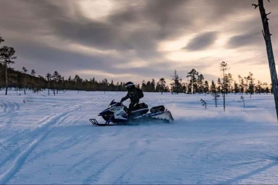 Levi: Twilight Snowmobile Safari & Stargazing Experience - Scenic Transfer into Lapland’s Winter Wilderness