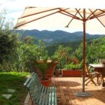 Lezione con Chef di Cucina Tradizionale Bolognese - Creating Pasta in a Traditional Bologna Style