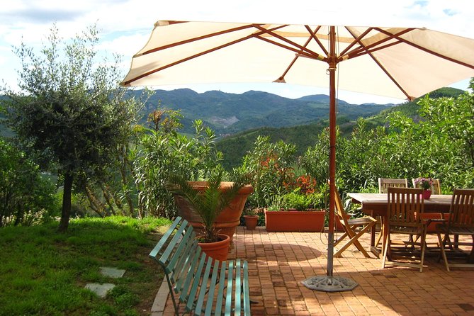Lezione con Chef di Cucina Tradizionale Bolognese - Creating Pasta in a Traditional Bologna Style