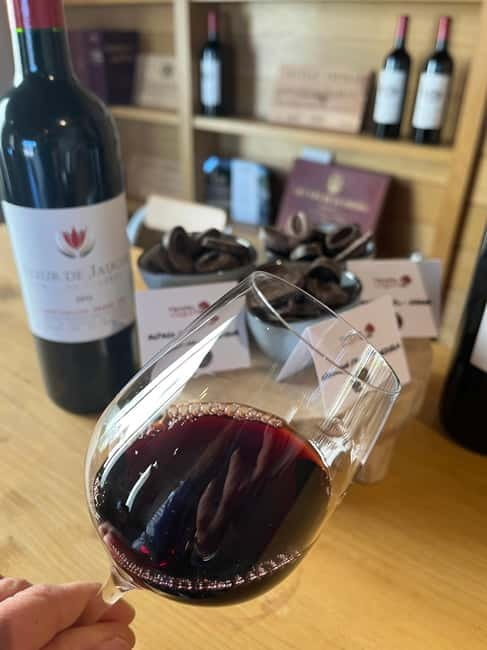 Libourne: Winery Tour with Wine and Chocolate Tasting - Guided Tours in the Vineyard and Cellars