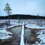 Lieksa: Patvinsuo National Park Overnight Hike - Starting Point and Meeting Arrangements at Suomu Nature House