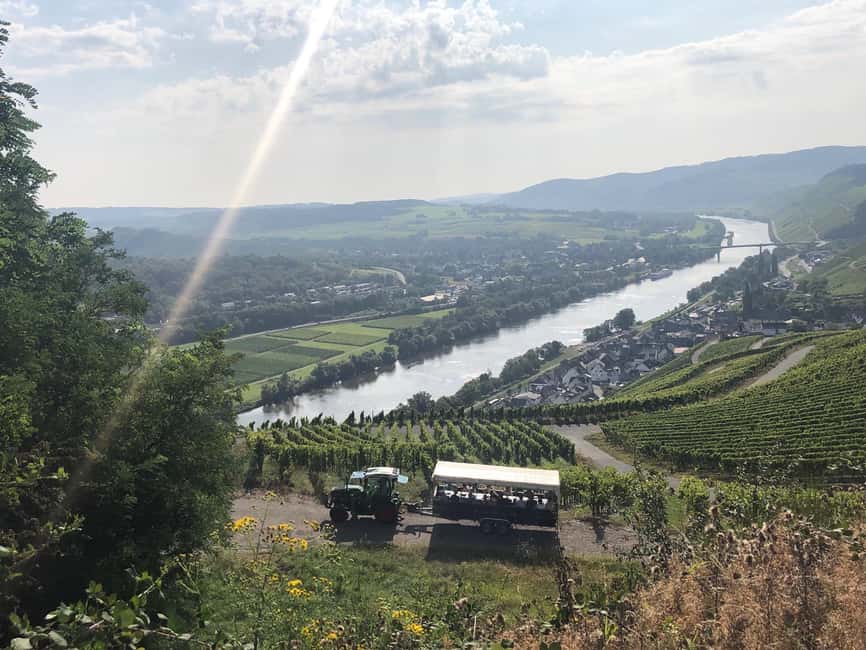 Lieser: covered wagon ride, the rolling wine tasting with picnic basket - The Experience of the Guide